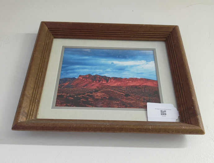 Vintage Arizona Desert Photo