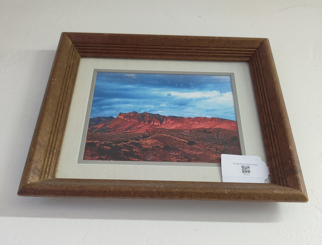 Vintage Arizona Desert Photo