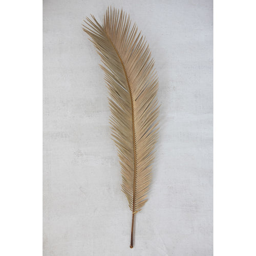 Dried Natural Cut Palm Leaf