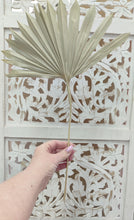 Dried Natural Palm Leaf