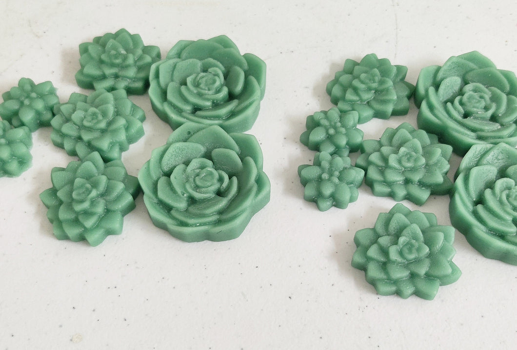 succulent wax melts Succulent Shaped Wax Melts