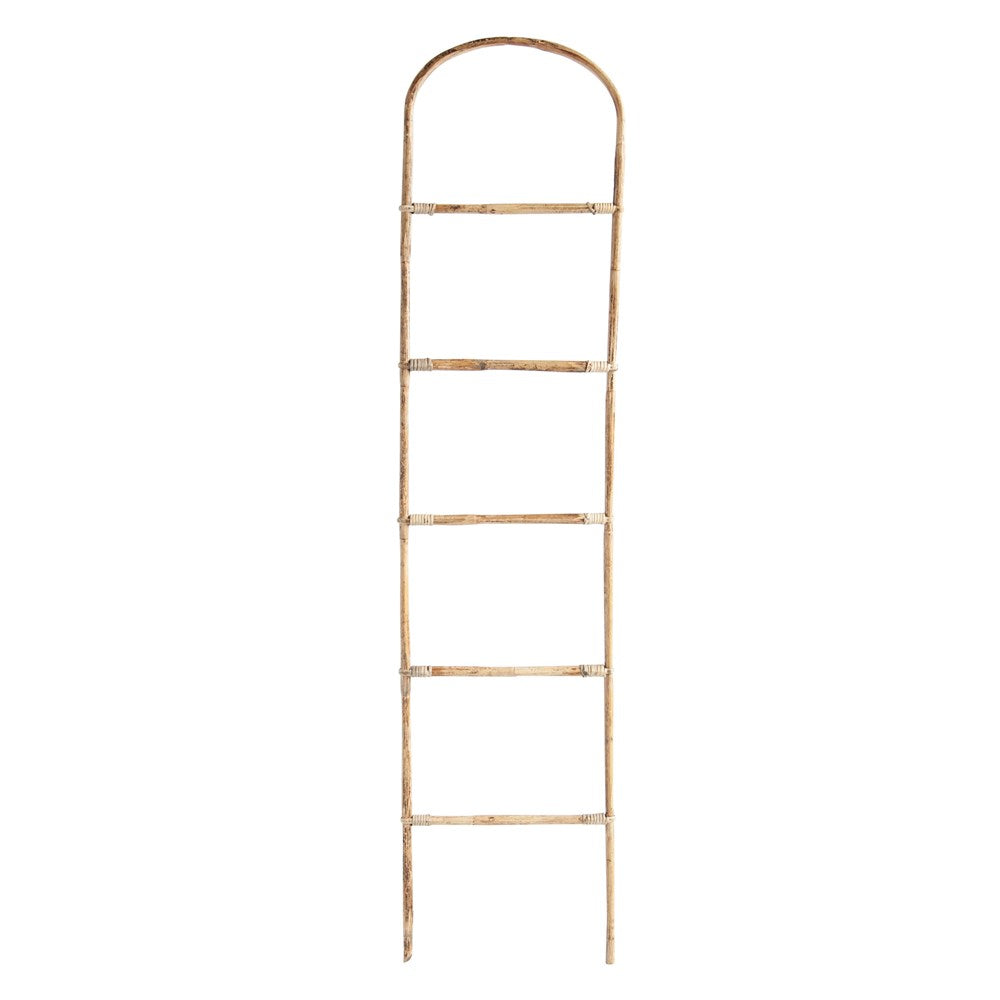 Bamboo Ladder